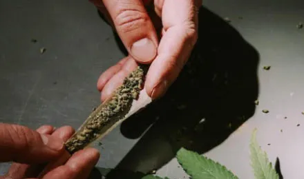 Marijuana Addiction Treatment in Pune